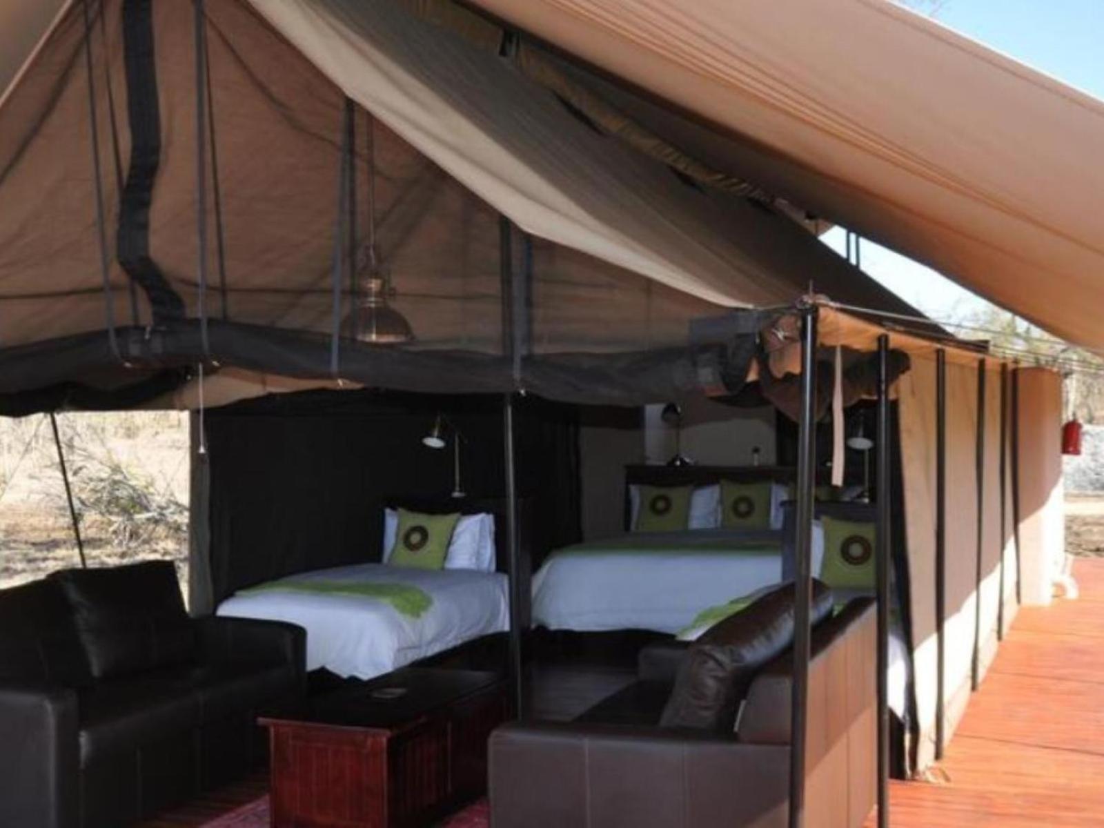 Honeyguide Tented Safari Camps - Mantobeni Manyeleti Game Reserve Habitación foto