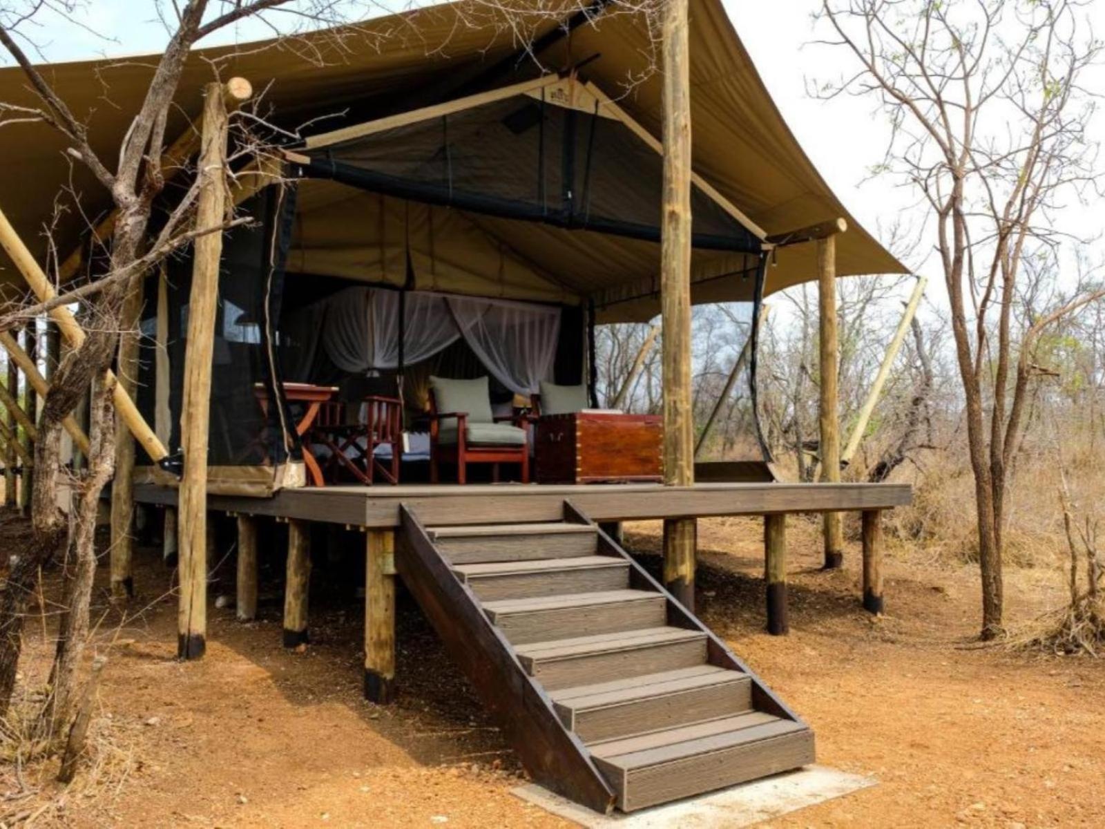 Honeyguide Tented Safari Camps - Mantobeni Manyeleti Game Reserve Habitación foto